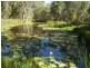 446 Brauer Road, Mount Maria QLD 4674