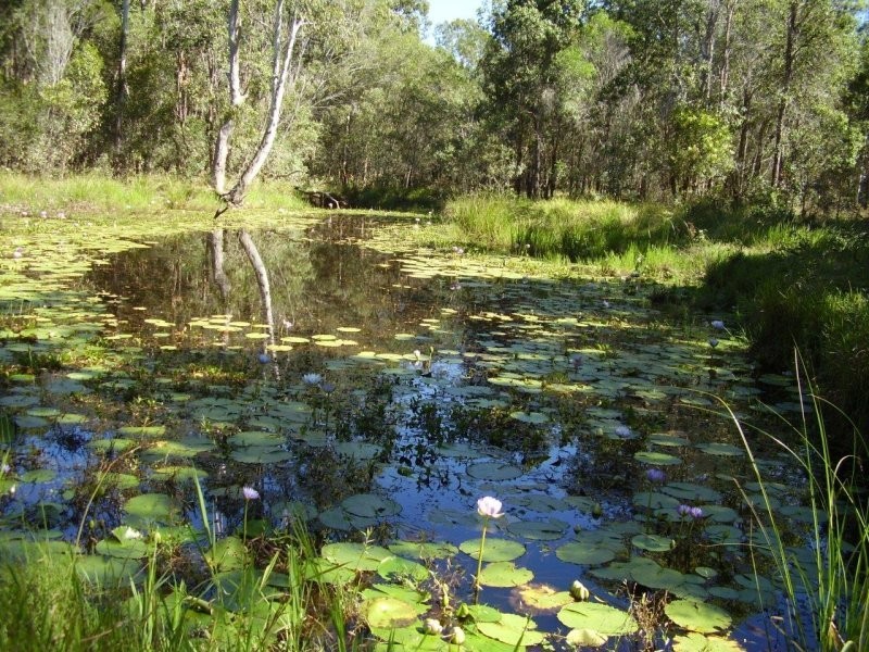 446 Brauer Road, Mount Maria QLD 4674