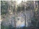221 Quarry Road, Bucca QLD 4670
