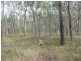 221 Quarry Road, Bucca QLD 4670