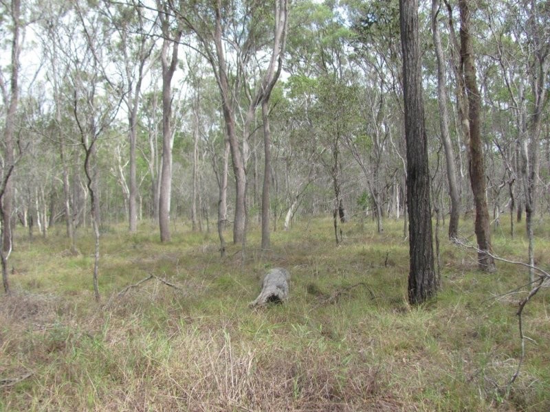 221 Quarry Road, Bucca QLD 4670
