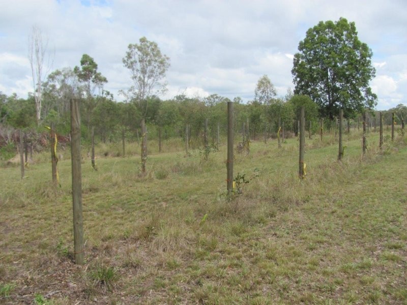 221 Quarry Road, Bucca QLD 4670