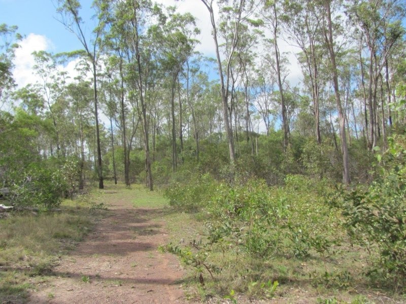 Lot 5 Mollenhagen Road, Rosedale QLD 4674