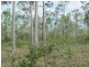 Lot 5 Mollenhagen Road, Rosedale QLD 4674