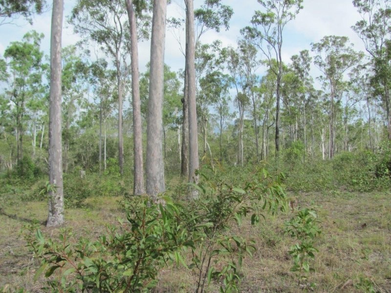 Lot 5 Mollenhagen Road, Rosedale QLD 4674