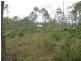 Lot 5 Mollenhagen Road, Rosedale QLD 4674