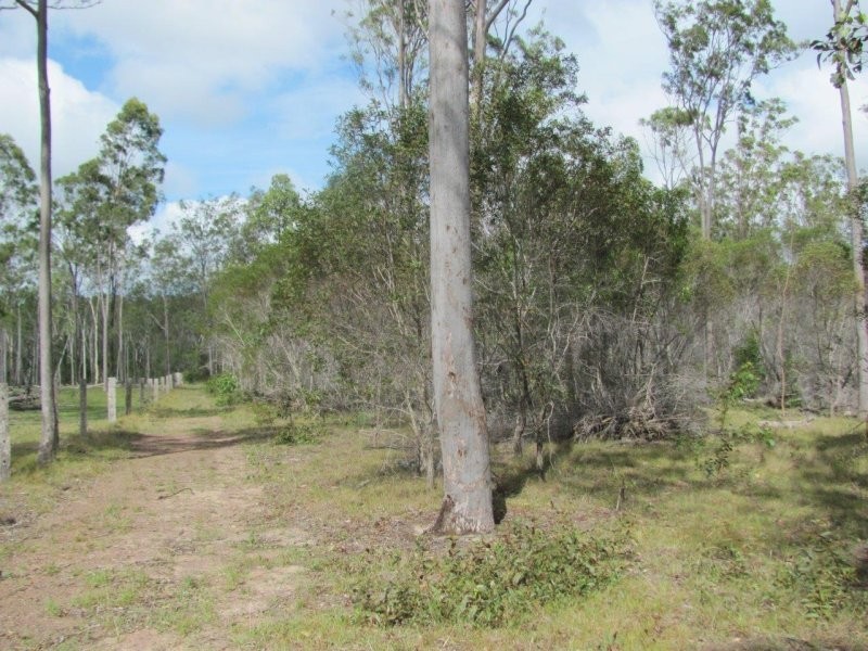 Lot 5 Mollenhagen Road, Rosedale QLD 4674