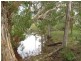 Lot 5 Mollenhagen Road, Rosedale QLD 4674
