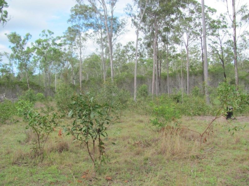 Lot 5 Mollenhagen Road, Rosedale QLD 4674