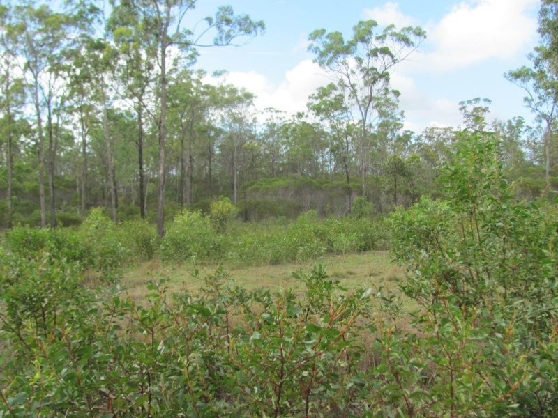 Lot 5 Mollenhagen Road, Rosedale QLD 4674