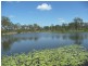 Lot 2 North Bucca Road, Bucca QLD 4670