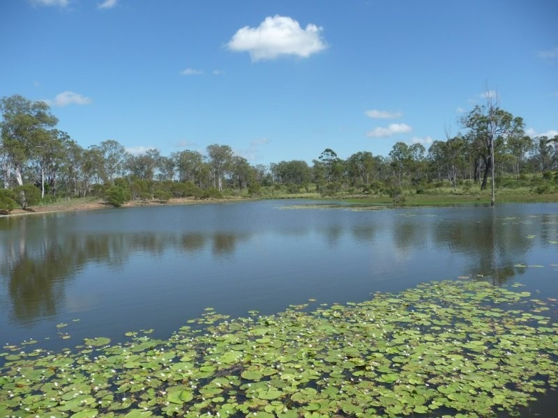 Lot 2 North Bucca Road, Bucca QLD 4670