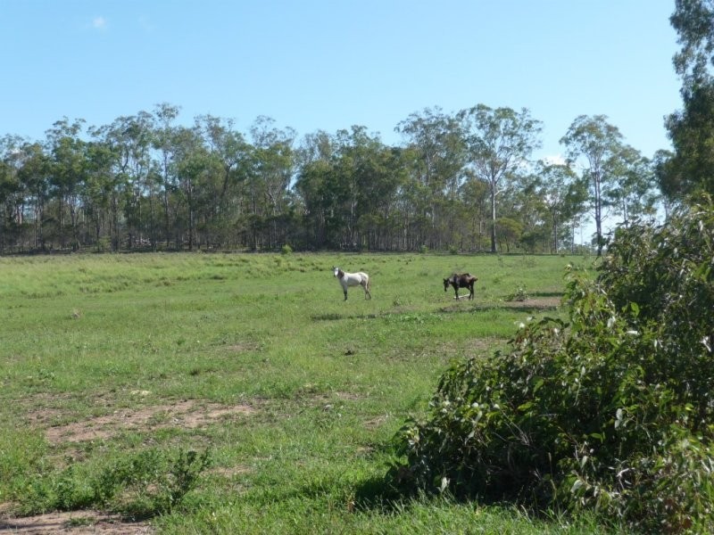 Lot 2 North Bucca Road, Bucca QLD 4670