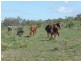 Lot 2 North Bucca Road, Bucca QLD 4670