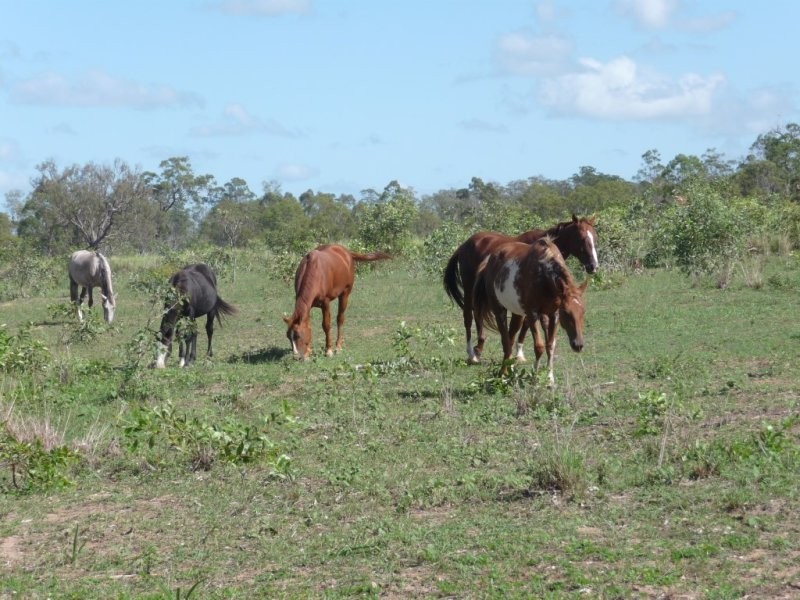Lot 2 North Bucca Road, Bucca QLD 4670