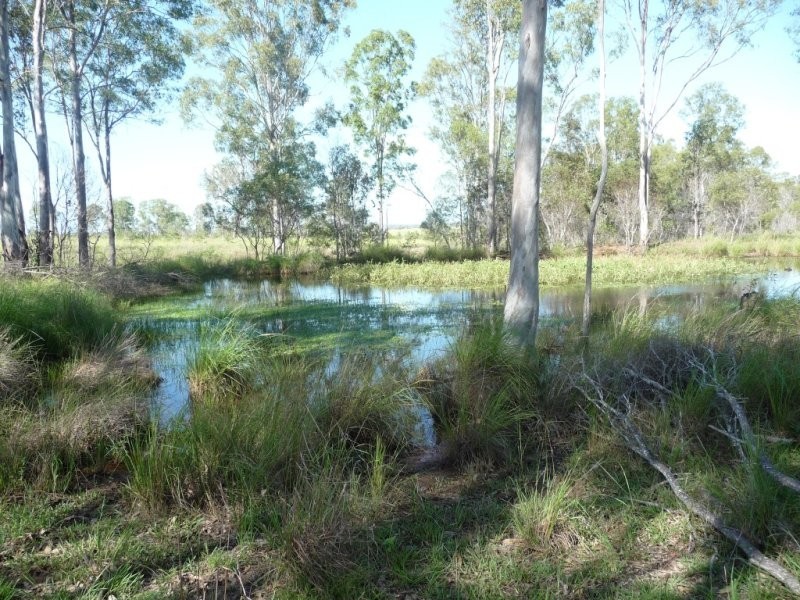 Lot 2 North Bucca Road, Bucca QLD 4670