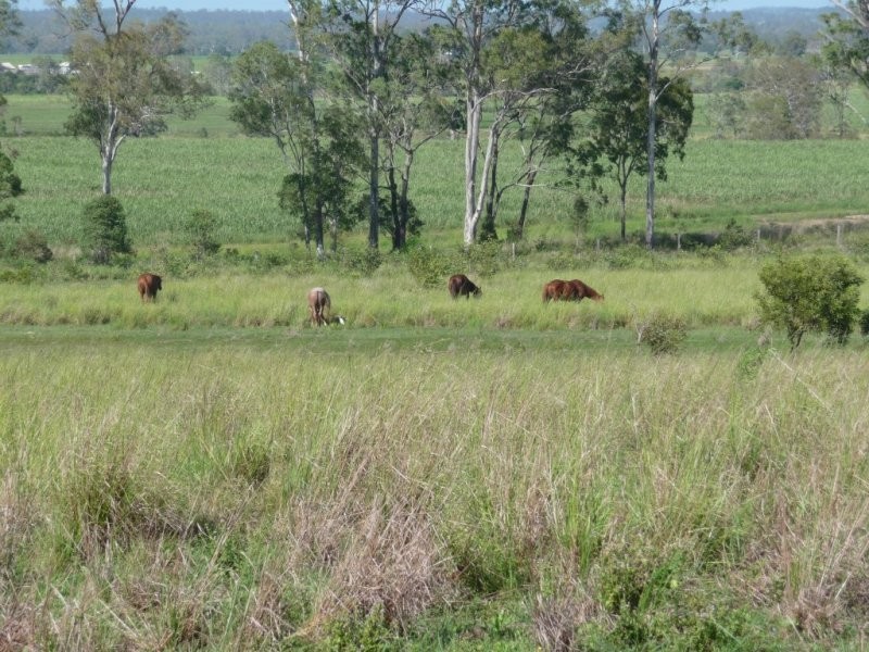 Lot 2 North Bucca Road, Bucca QLD 4670