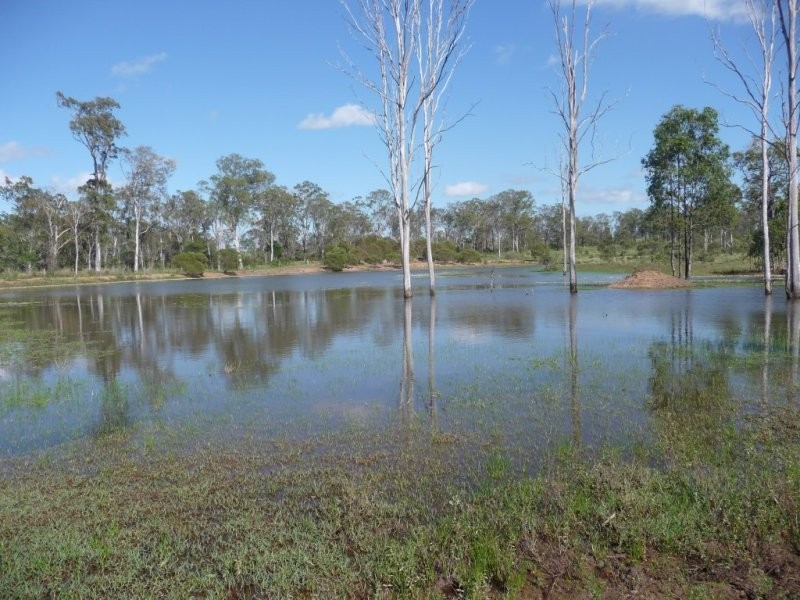 Lot 2 North Bucca Road, Bucca QLD 4670