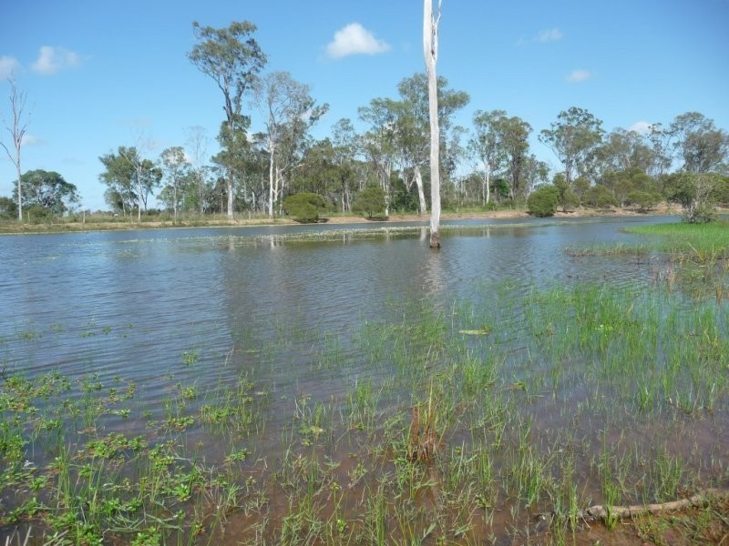 Lot 2 North Bucca Road, Bucca QLD 4670