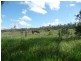 Lot 2 North Bucca Road, Bucca QLD 4670