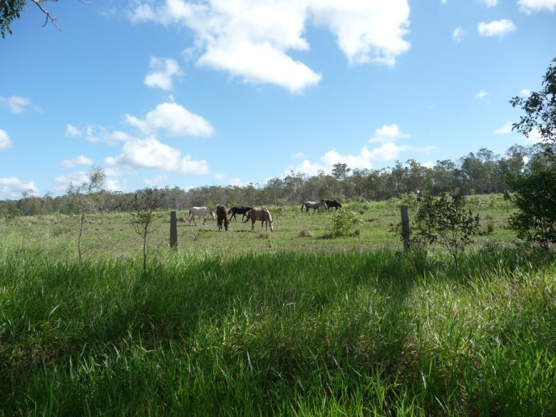 Lot 2 North Bucca Road, Bucca QLD 4670