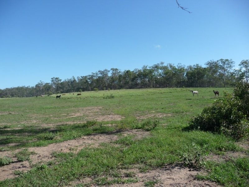 Lot 2 North Bucca Road, Bucca QLD 4670