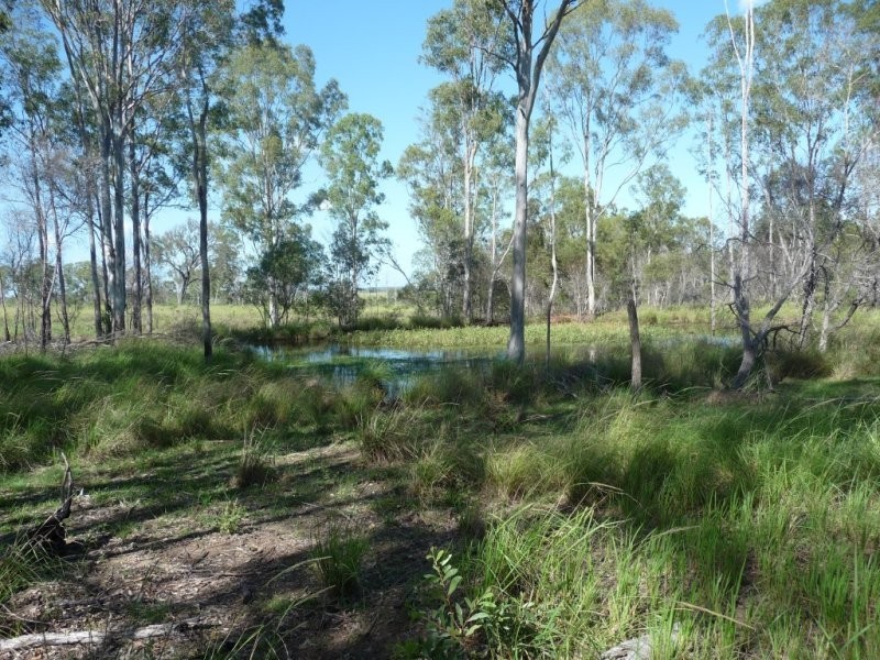 Lot 2 North Bucca Road, Bucca QLD 4670