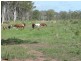 Lot 2 North Bucca Road, Bucca QLD 4670
