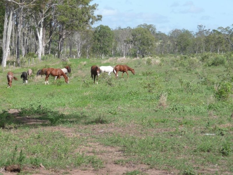Lot 2 North Bucca Road, Bucca QLD 4670