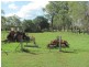 130 Blackmans Gap Road, Miriam Vale QLD 4677