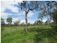 130 Blackmans Gap Road, Miriam Vale QLD 4677