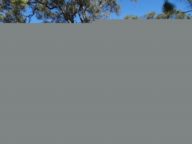 71 Deepwater Road, Deepwater QLD 4674