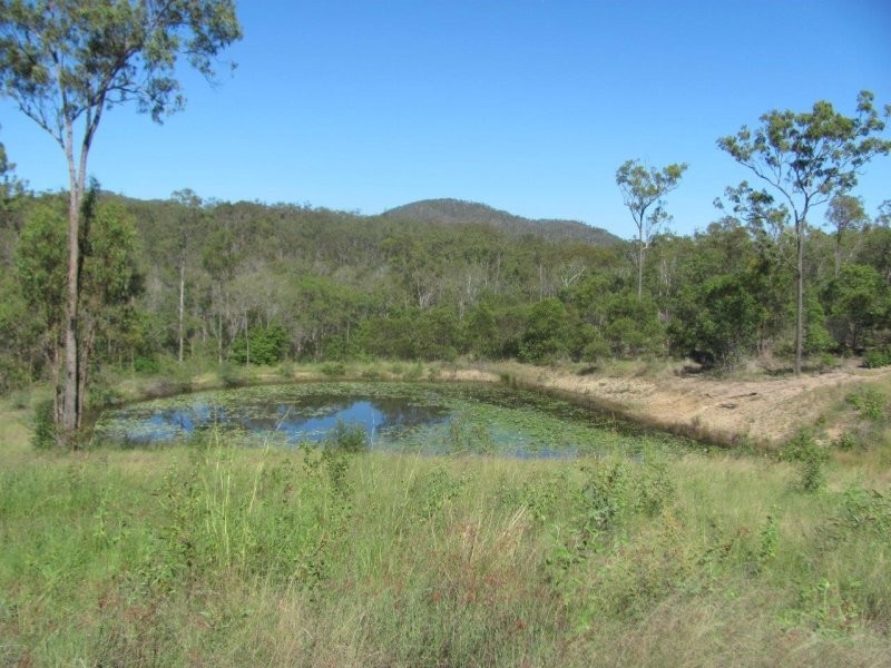 1415 Hills Road, Euleilah QLD 4674