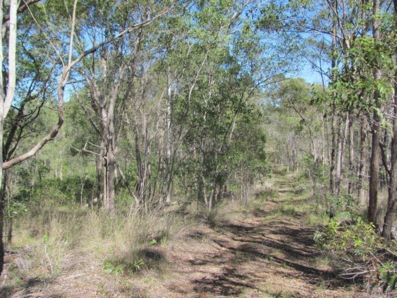 1415 Hills Road, Euleilah QLD 4674