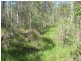 1415 Hills Road, Euleilah QLD 4674
