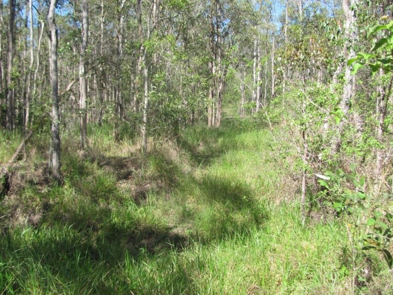 1415 Hills Road, Euleilah QLD 4674