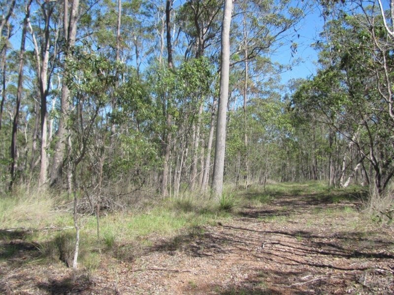 1415 Hills Road, Euleilah QLD 4674