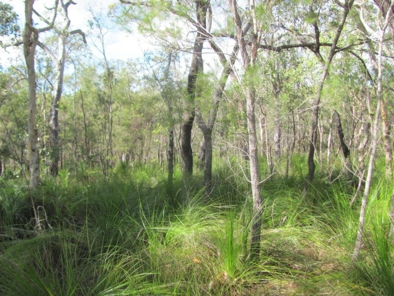 Lot 166 Capricornia Drive, Deepwater QLD 4674