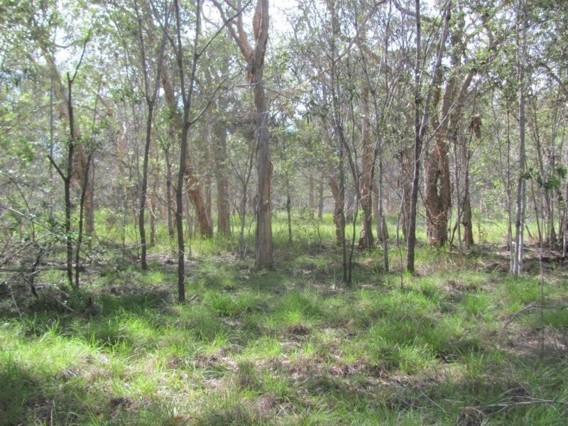 Lot 166 Capricornia Drive, Deepwater QLD 4674