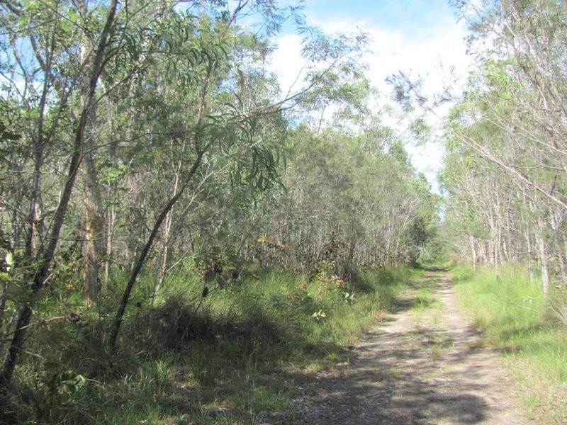 Lot 166 Capricornia Drive, Deepwater QLD 4674
