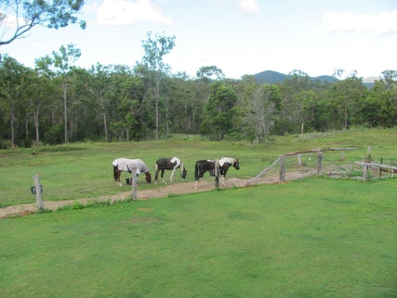 1341 Tableland Road, Mount Maria QLD 4674