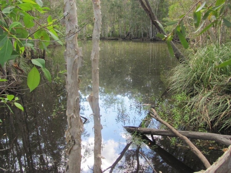 1341 Tableland Road, Mount Maria QLD 4674