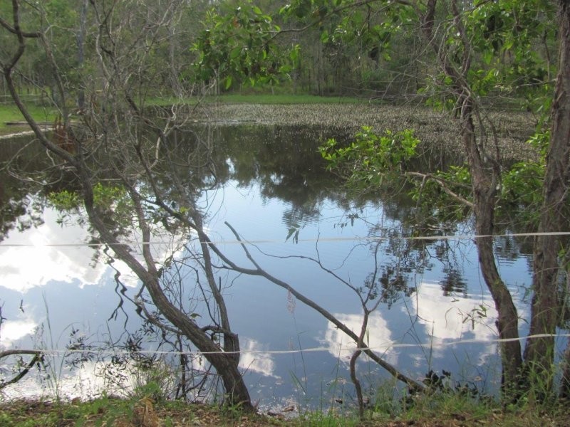 1341 Tableland Road, Mount Maria QLD 4674