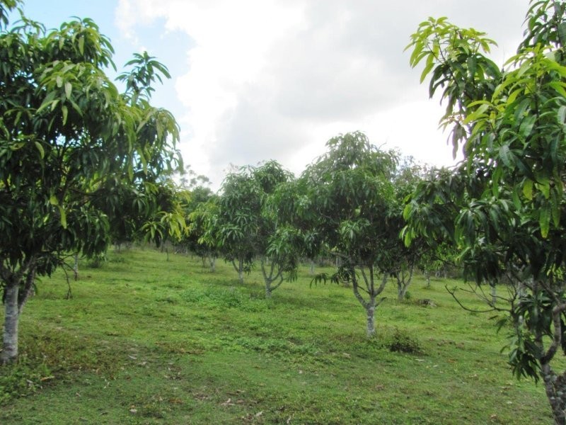 1341 Tableland Road, Mount Maria QLD 4674