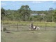 1022 Moorland Road, Moorland QLD 4670