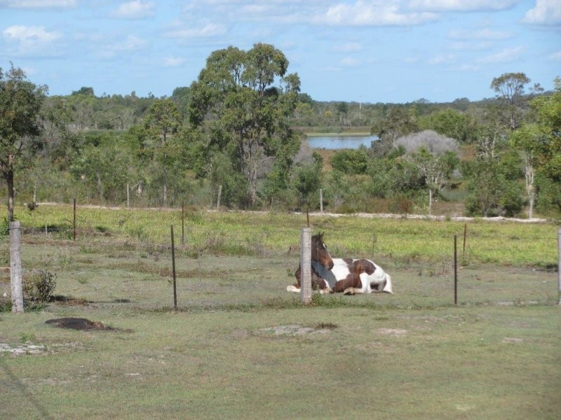 1022 Moorland Road, Moorland QLD 4670