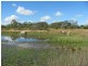 1022 Moorland Road, Moorland QLD 4670