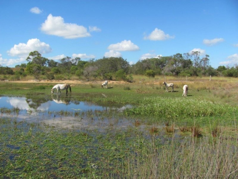 1022 Moorland Road, Moorland QLD 4670