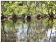 1022 Moorland Road, Moorland QLD 4670