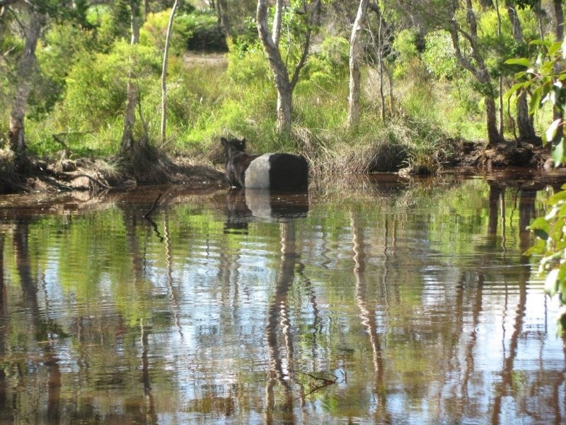 1022 Moorland Road, Moorland QLD 4670